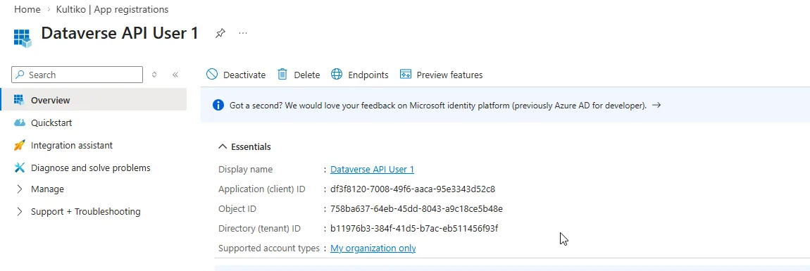 The completed app registration overview showing the Application (client) ID