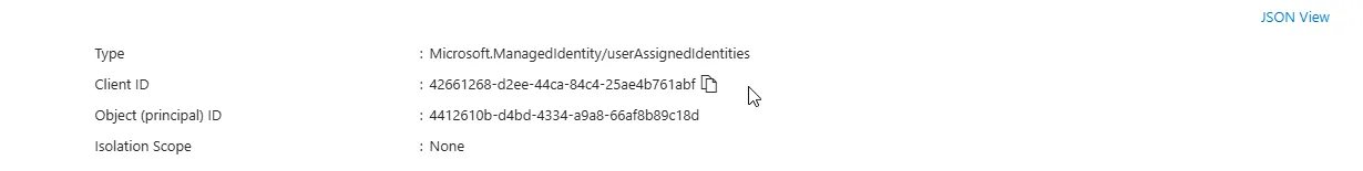 The created managed identity overview showing the Client ID
